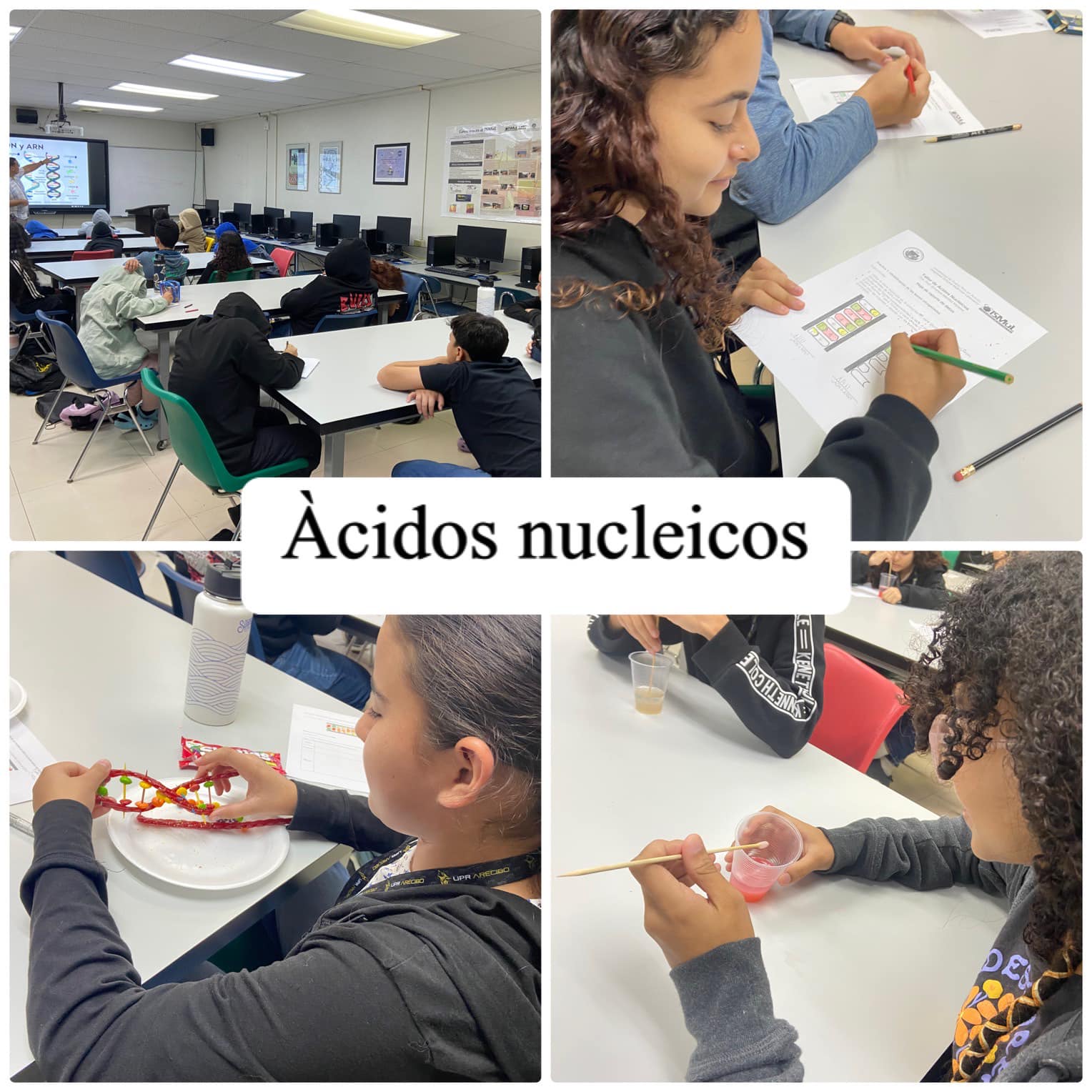 Nucleic Acids – Day 08 of ISMuL Summer STEM Academy 2024