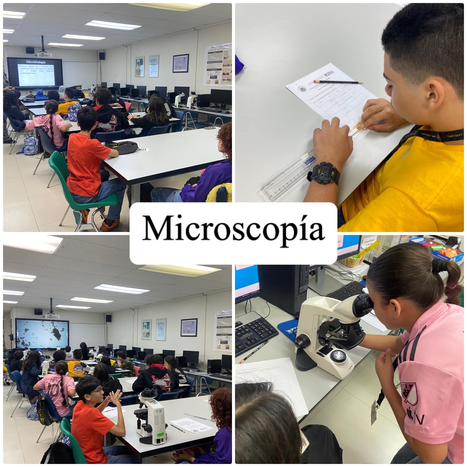 Microscopy – Day 10 of ISMuL Summer STEM Academy 2024